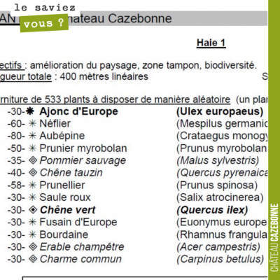 Replanter des haies, un enjeu majeur de l'agriculture. Il s'agit de réintroduire de la biodiversi...