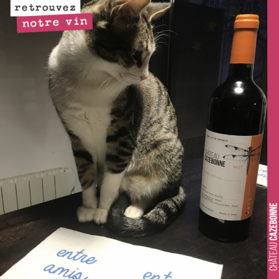 Oslo, notre chat, a adopté notre cuvée Entre amis.