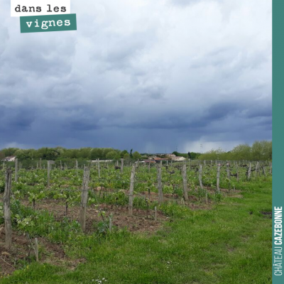 Les luminosités sont magnifiques, les jours d'orage, dans les vignes.