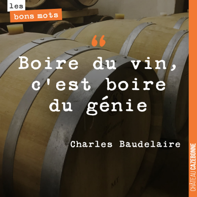 La sagesse incarnée, Baudelaire !