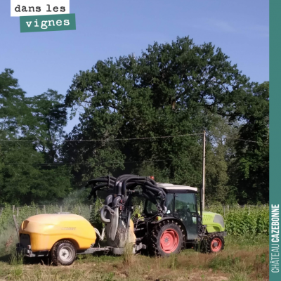 8ème traitement de l'année, aujourd'hui. Même dose que la semaine dernière, à savoir 300g de cuiv...