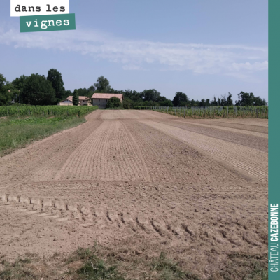 On a préparé les sols pour notre plantation de cépages oubliés. On a ajouté 30 tonnes de fumier p...