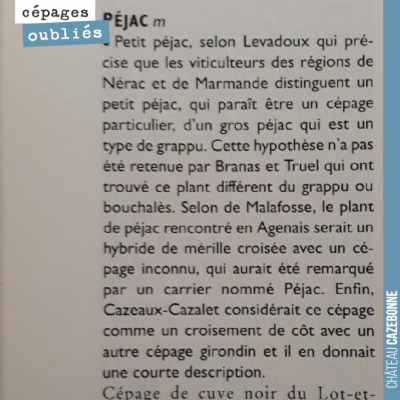 On se penche sur le Galet, bible de l'ampélographie, pour voir ce qu'on y raconte sur le Petit Pe...