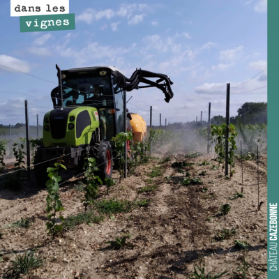 Petit cuivre et tisanes sur les plantes aujourd'hui. On a repéré quelques taches de mildiou. Il f...