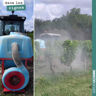 A l'aide de cette poudreuse, on va pulvériser sur les vignes un mélange d'argile et de soufre. Ce...