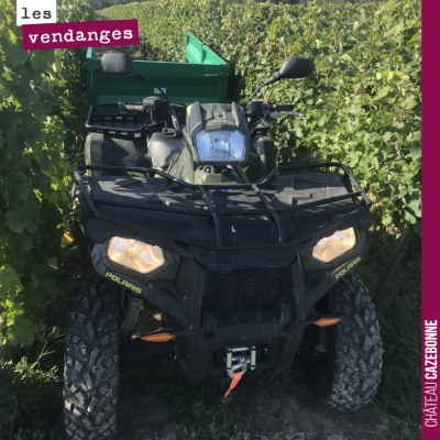 On nous a prêté un quad pour les vendanges à la main. Il faut reconnaître que c'est très pratique...