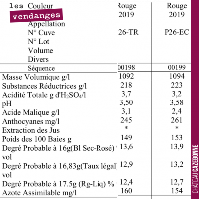 Sur la même parcelle, sur le même cépage (merlot), nous avons en alternance écimé ou tressé la vi...