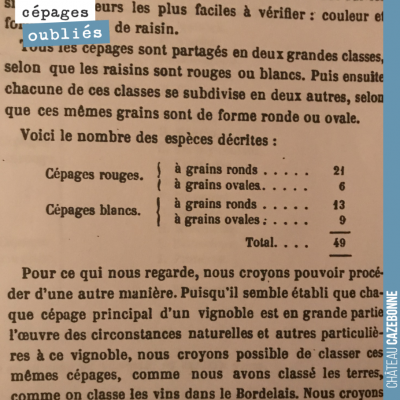 Cité dans La vigne dans le bordelais 1868. 49 cépages à Bordeaux, 27 rouges, 22 blancs... Ces cép...