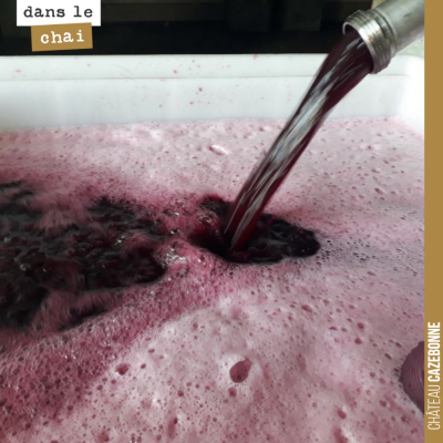 On continue les remontages. Notre première cuve de merlot est très bien avancée, maintenant. Aprè...