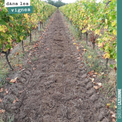 Les vendanges à peine terminées sur les premières parcelles, on commence nos couverts végétaux po...