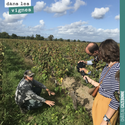 David explique à l'équipe de Winefunding pourquoi il est important d'avoir des sols vivants et qu...