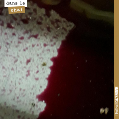 A qui profite le crime ? On a écoulé et pressé aujourd'hui une cuve de merlot. La fermentation ét...