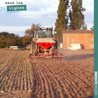 On a semé nos parcelles en jachère du Maine. On a semé des variétés anciennes de blé, le blé que ...