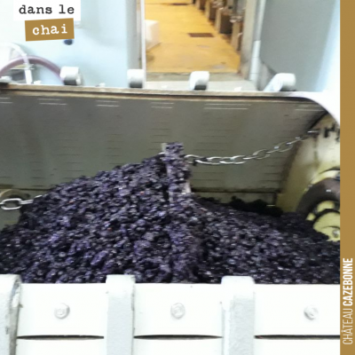 On écoule et on presse les dernières cuves. Il ne nous reste plus que le cabernet sauvignon.