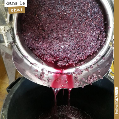 Nous avons écoulé ce matin notre magnifique cuve de cabernet franc de Peyron. Place maintenant à ...