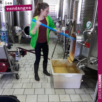 Marion nous a accompagné en stage pour cette vendange 2019. Merci à elle pour son travail, pour s...