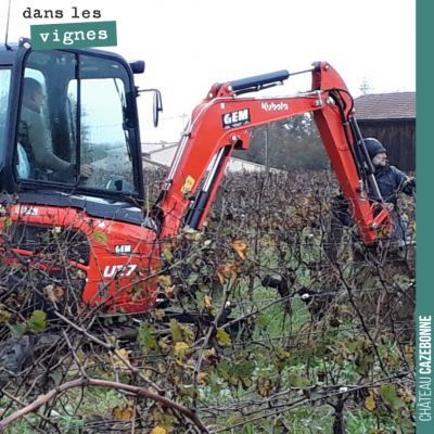 On brave les intempéries pour coplanter dans les vignes des pieds en remplacement des manquants. ...