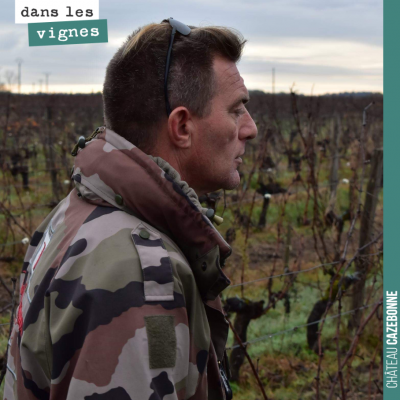 La vigne demande beaucoup d'interventions humaines tout au long de l'année, de la taille à la réc...