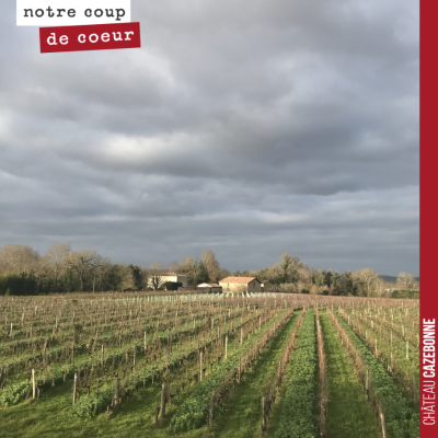 On ne se lasse pas de la vue depuis notre bureau, sur le plateau de Peyron avec les vignes de Méd...