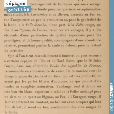 Recommandation d'encépagement pour le Sud Gironde, pour des sols de sables et alios, par F. Vassi...