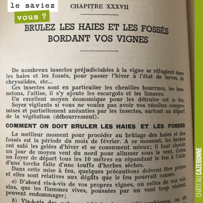 Cette recommandation qui peut paraître étrange aujourd'hui, figure dans 'Le vigneron d'aujourd'hu...