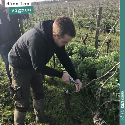 Benjamin à l'œuvre, en train de montrer aux Amis de Cazebonne, comment tailler un pied de vigne.