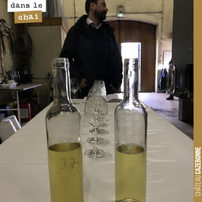 On va goûter tous nos lots de blancs pour l'assemblage avant mise en bouteille de notre cuvée Ent...