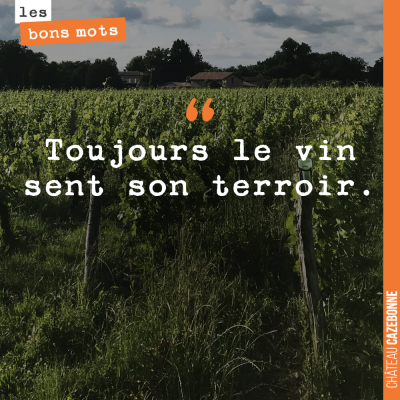 Ou toujours le vin devrait sentir son terroir...