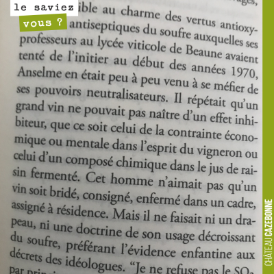 Dans la Théorie de la Bulle Carrée, le rapport de Anselme Selosse au soufre... Un grand vin ne pe...