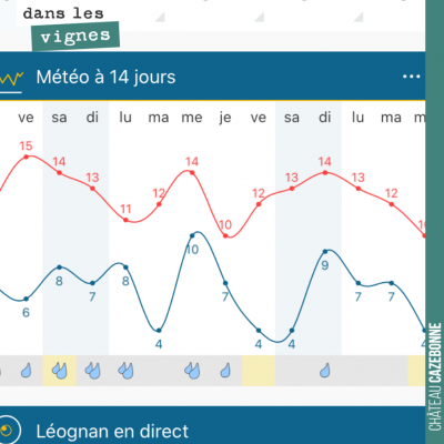 Avec l'hiver doux que nous avons connu, notre grande crainte est que la vigne débourre trop tôt. ...