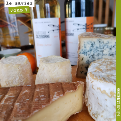 Vous aimez déguster quel vin avec un plateau de fromage ?