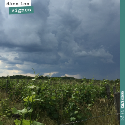 L'orage n'est pas loin. On espère qu'il ne sera pas chargé de grêle. Il faudra que l'on traite de...