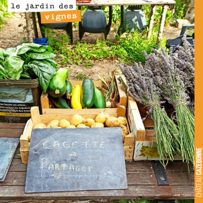 Francis nous avait proposé à Cazebonne de cultiver des légumes dans les vignes. De retour dans sa...