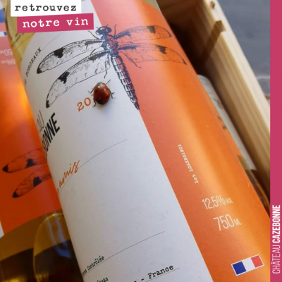 Une jolie coccinelle à la rencontre de la majestueuse libellule. Merci 750g la table pour la photo !