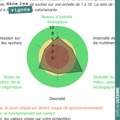 Nous avons fait faire une analyse de la vie de nos sols, sur la parcelle de Darche. Il s'agit de ...