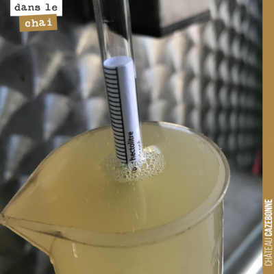 Le jus pour le petnat est prêt. 1003 de densité. Un parfait équilibre entre le fruit et la fraîch...