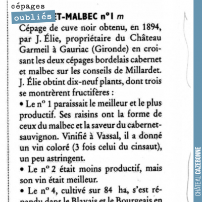 En 1894, on innovait, on inventait des cépages... L'appellation, au final, en voulant mettre en p...