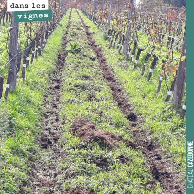 On passe avant l'hiver pour épandre des fumiers compostés. 10 tonnes par hectares de fumier. On c...