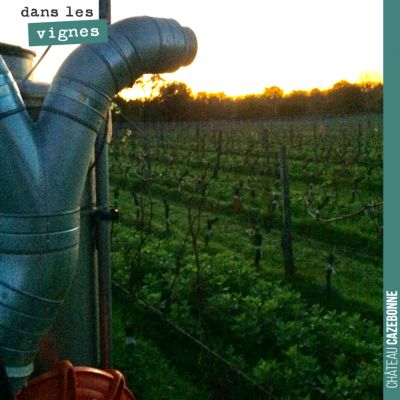 Passage d'une préparation de la biodynamie : compost de bouse Maria Thun. Cette préparation aide ...