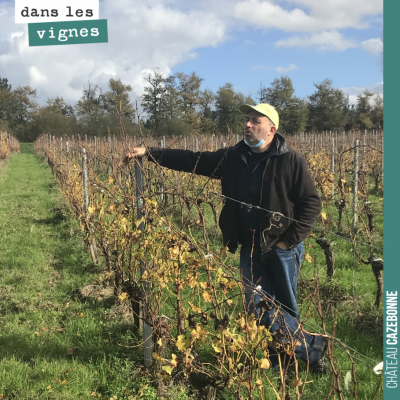 Tour des vignes avec David pour préparer le plan de taille de cet hiver. La taille est une étape ...