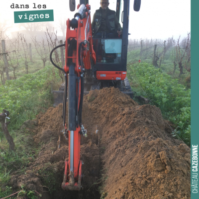 On a creusé des fosses vendredi, dans nos parcelles où les vignes sont le plus en souffrance. Com...