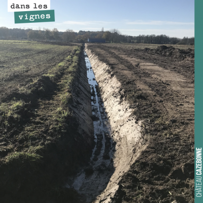 Drainage et curetage de fossé avant plantation au printemps. Étape essentielle si on veut une vig...