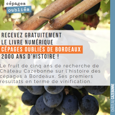 5 ans que l'on travaille sur l'histoire des cépages oubliés de Bordeaux, pour comprendre lesquels...