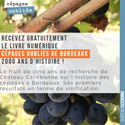 Préface ou Pourquoi écrire ce livre ? Comme tout amateur de vin, j'ai dévoré nombre de livres, af...