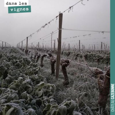 -4 degrés au thermomètre ce matin. Cela fait du bien à la vigne qui enregistre le signal de l'hiv...