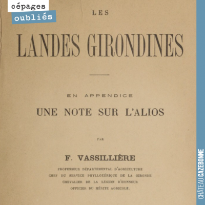 Vincent m'a contacté, il y a quelques semaines, parce qu'il avait un projet de planter des vignes...