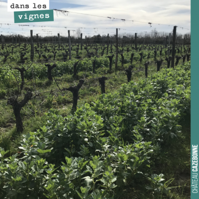 Cela fait plaisir de voir nos vignes comme cela après 4 années de conversion en Bio. Quand on a d...