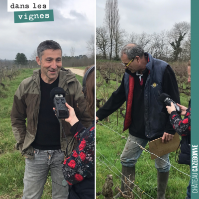 Vendredi, passionnante journée à la rencontre de vignerons qui ont fait le choix de cépages mécon...