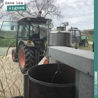 Première préparation de l'année aujourd'hui. Il s'agit d'une décoction de prêle. La prêle a un rô...