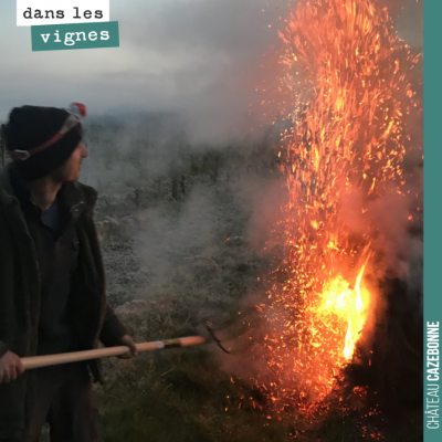 On a lutté. Le thermomètre est descendu à -3 degrés. On a sauvé ce que l'on a pu. Il nous reste e...